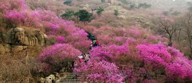 青岛大珠山风景区旅游攻略