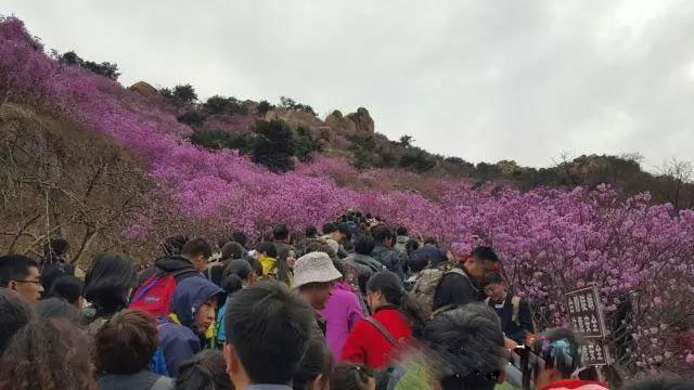 青岛大珠山风景区旅游攻略