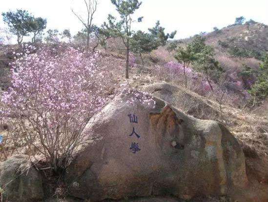 青岛大珠山风景区旅游攻略