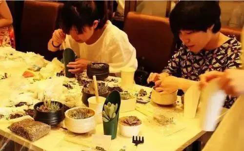 海上嘉年华主题乐园，“萌趣六一”多肉展