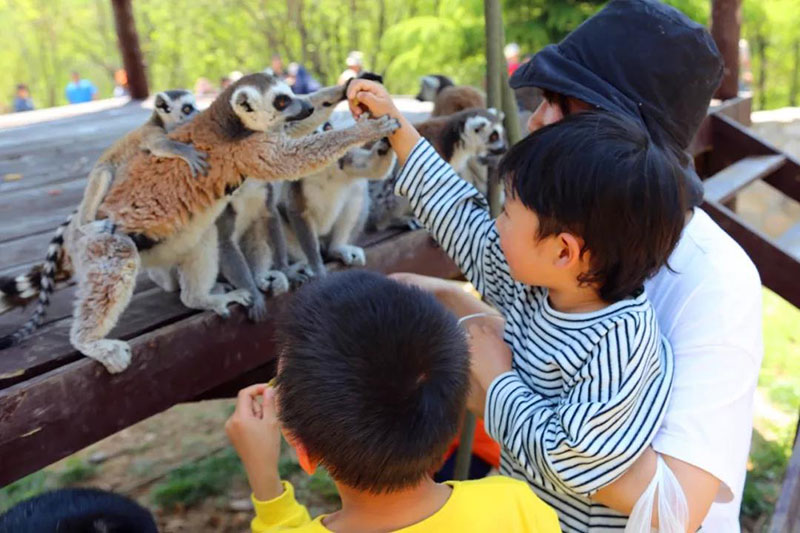 六一儿童节来动物世界享受萌兽亲子时光