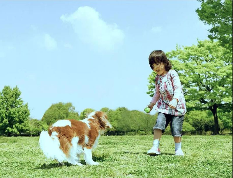青岛藏马山阿朵小镇度假体验静谧乡间生活