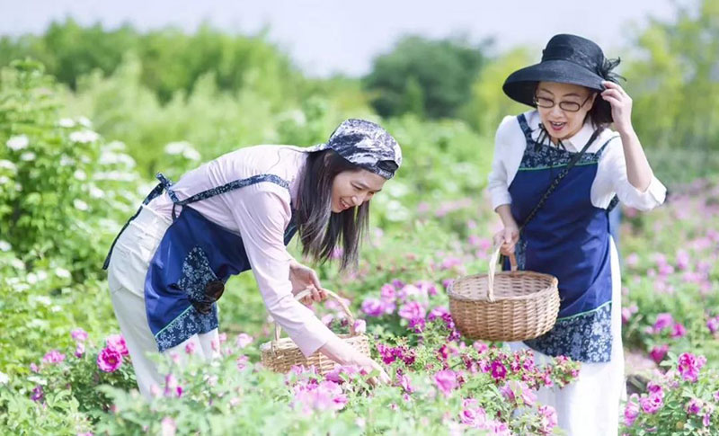 青岛藏马山阿朵小镇度假体验静谧乡间生活