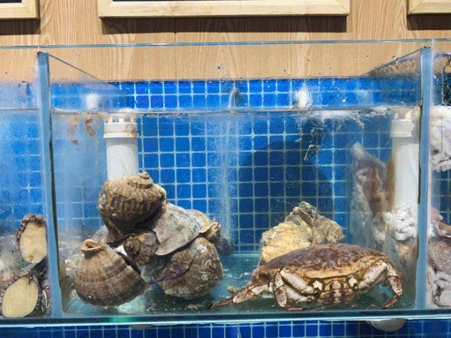 西海岸美食  在金沙滩邂逅满满海，来一场酣畅淋漓的夏日蒸鲜盛宴！