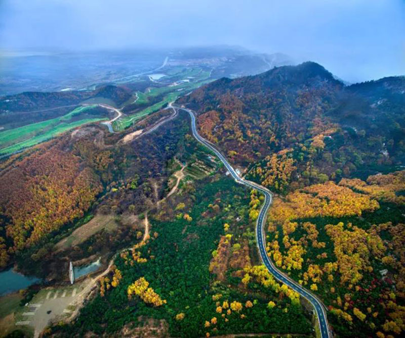 黄岛藏马山图片