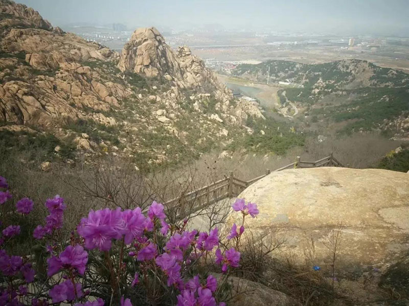 黄岛藏马山图片