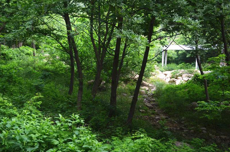 珠山森林公园七夕一相逢，便胜却人间无数
