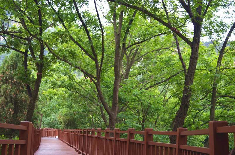 珠山森林公园七夕一相逢，便胜却人间无数