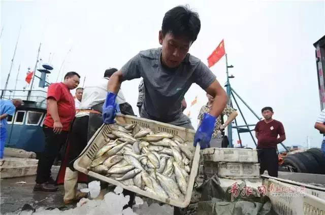 倒计时3天！青岛要开海了，这条码头市场海鲜购买全攻略收藏起来