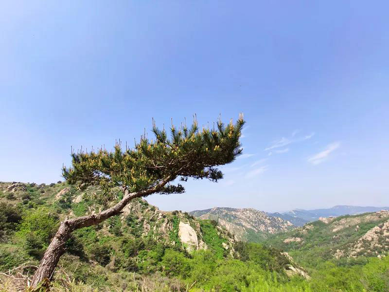 珠山森林公园七夕一相逢，便胜却人间无数