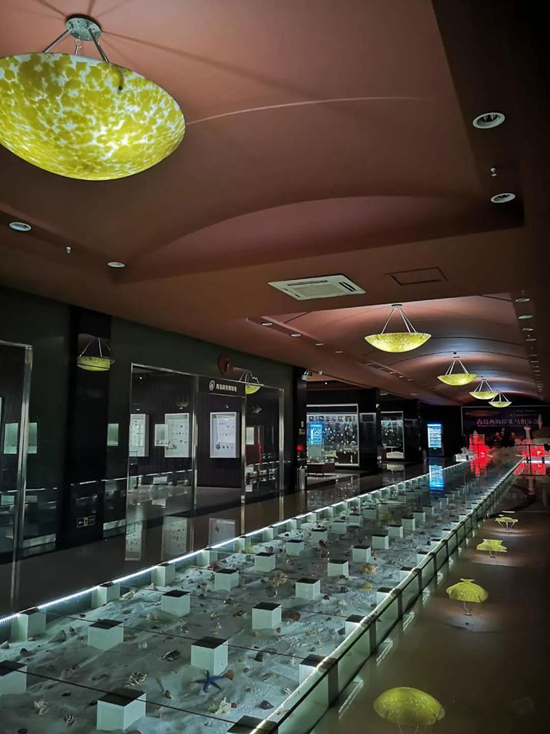 青岛贝壳博物馆