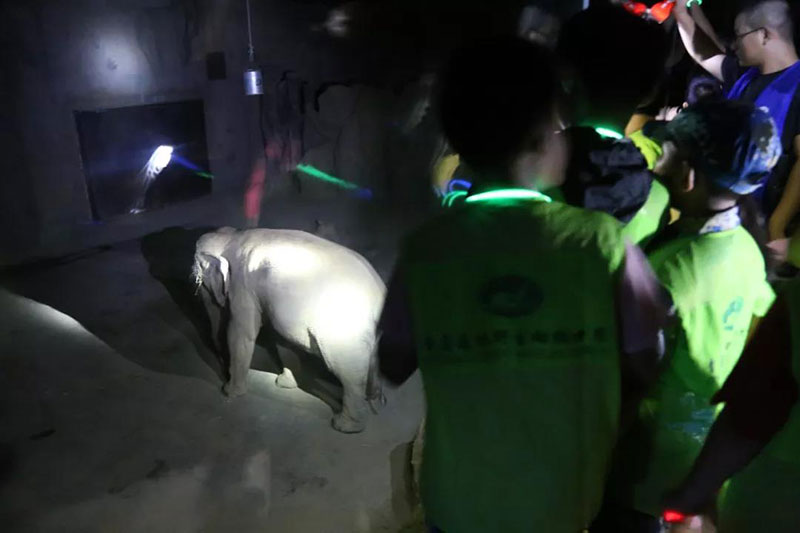 夜游动物世界，感受神秘而又刺激的动物奇妙夜！