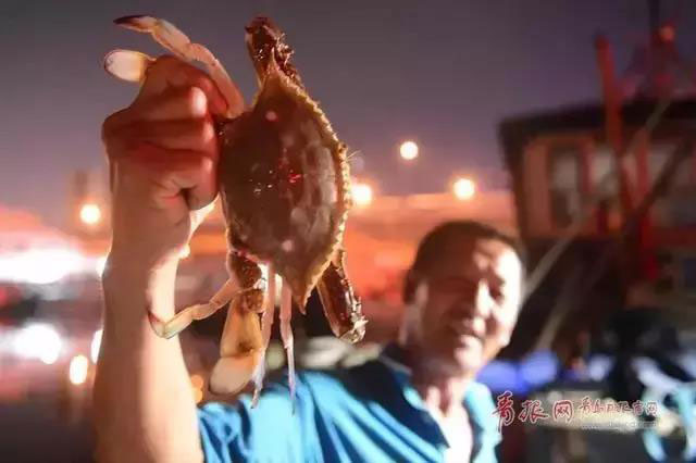倒计时3天！青岛要开海了，这条码头市场海鲜购买全攻略收藏起来