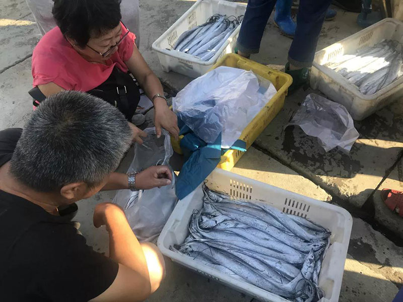 开海啦丨带你去积米崖渔人码头买刚上岸的海鲜