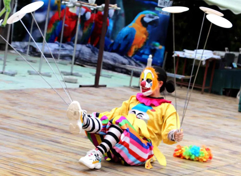 十一假期|动物世界大马戏来袭，感受惊险刺激的梦幻盛宴