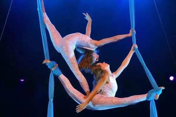 十一假期|动物世界大马戏来袭，感受惊险刺激的梦幻盛宴