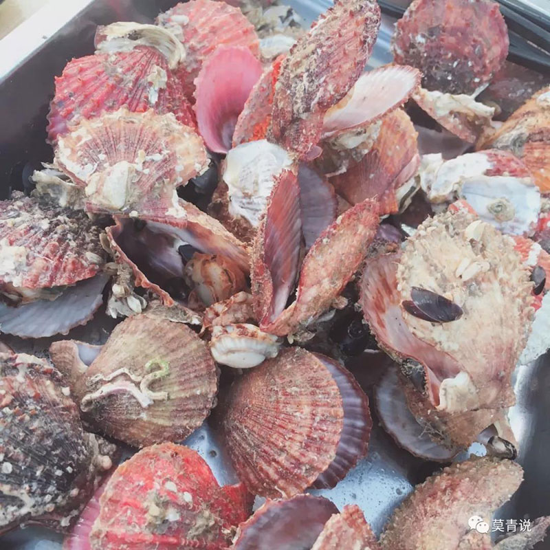 开海后的青岛积米崖海鲜市场