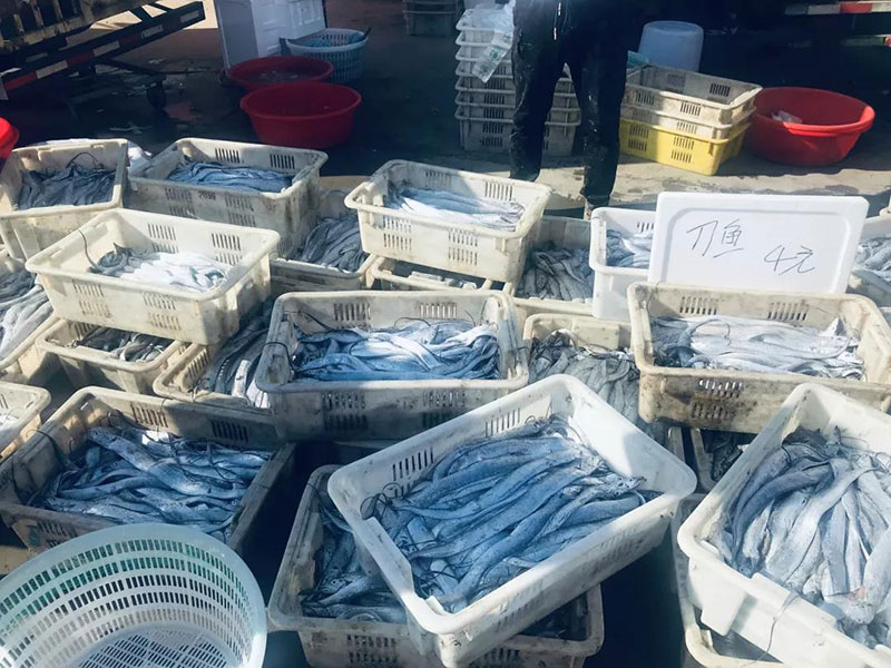 开海啦丨带你去积米崖渔人码头买刚上岸的海鲜