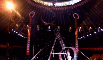 十一假期|动物世界大马戏来袭，感受惊险刺激的梦幻盛宴