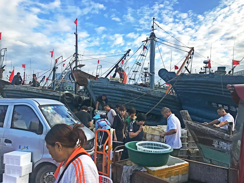 开海啦丨带你去积米崖渔人码头买刚上岸的海鲜