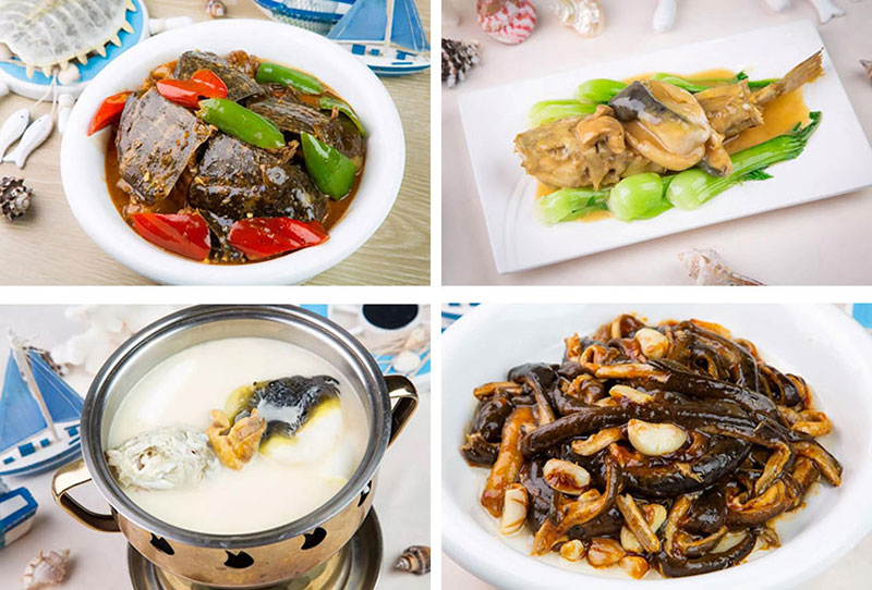 这个国庆，相约青岛红树林美食特惠！假期正好，不如吃起！