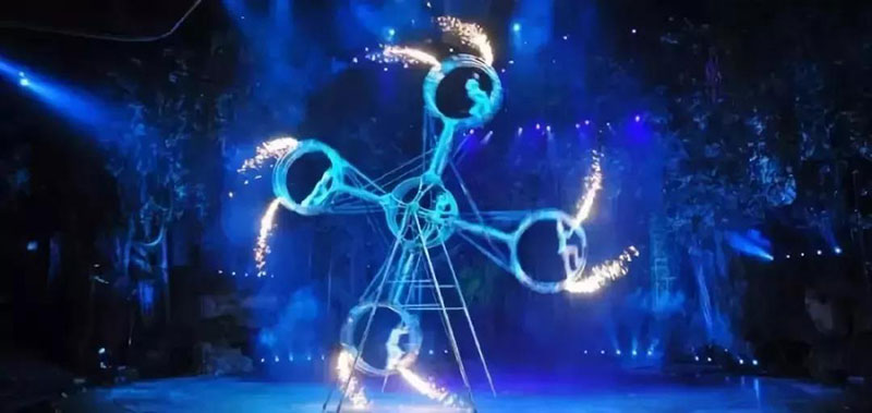 十一假期|动物世界大马戏来袭，感受惊险刺激的梦幻盛宴