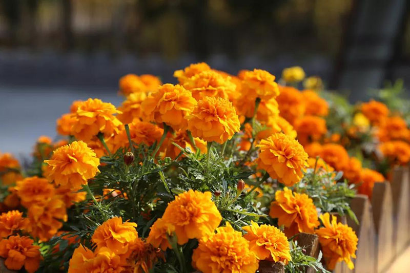 走进色彩青岛森林野生动物世界，带你看点不一样的风景！