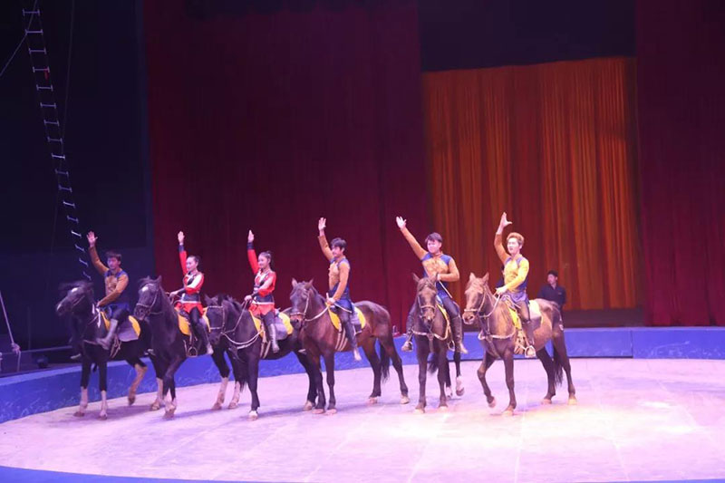 动物世界上新了表演场 | 肩上芭蕾、空中飞人~