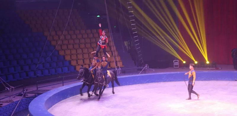 动物世界上新了表演场 | 肩上芭蕾、空中飞人~