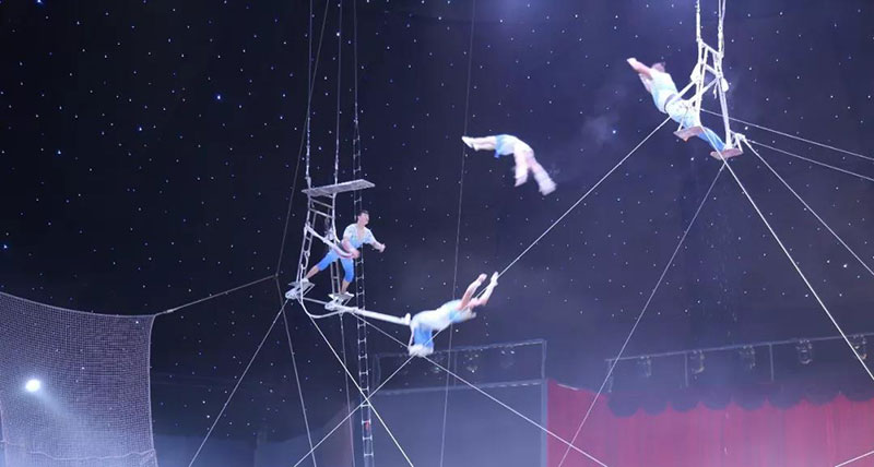 动物世界上新了表演场 | 肩上芭蕾、空中飞人~