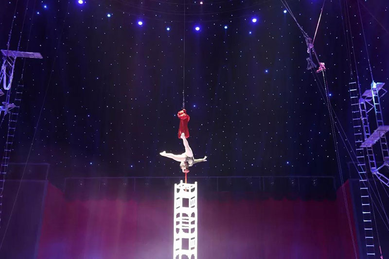 动物世界上新了表演场 | 肩上芭蕾、空中飞人~