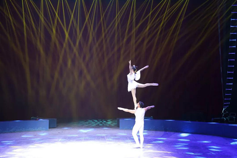 动物世界上新了表演场 | 肩上芭蕾、空中飞人~