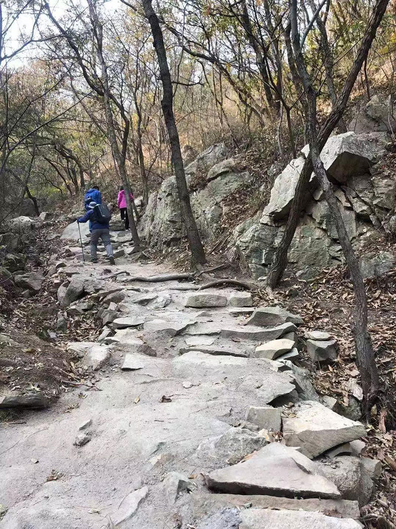 12月1日正式开赛！第二届大珠山丛林穿越挑战赛最贴心攻略出炉！