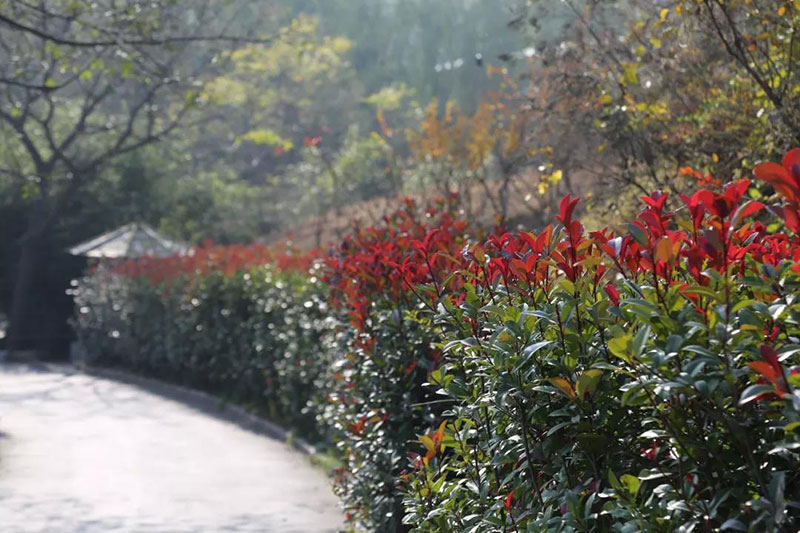 走进色彩青岛森林野生动物世界，带你看点不一样的风景！