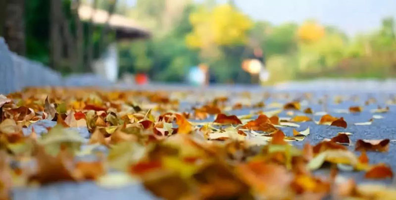 走进色彩青岛森林野生动物世界，带你看点不一样的风景！