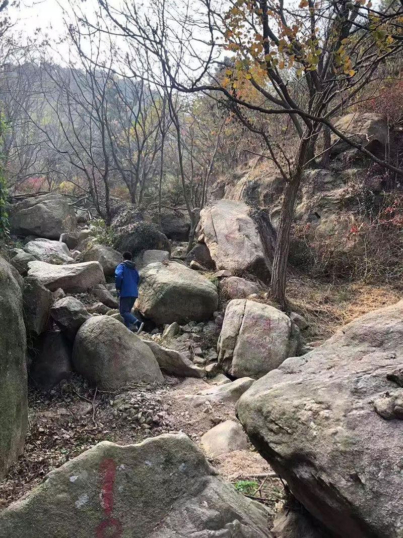 12月1日正式开赛！第二届大珠山丛林穿越挑战赛最贴心攻略出炉！