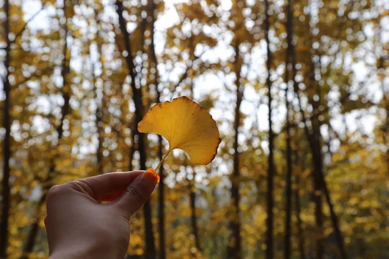 走进色彩青岛森林野生动物世界，带你看点不一样的风景！