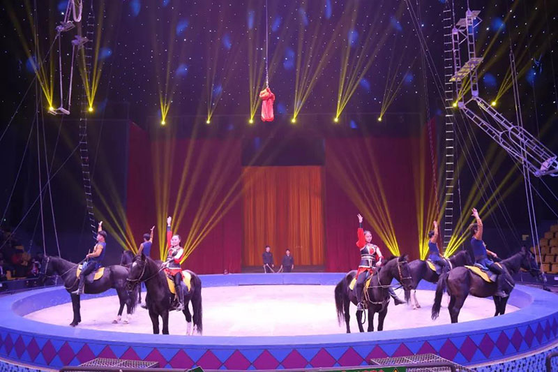 动物世界上新了表演场 | 肩上芭蕾、空中飞人~