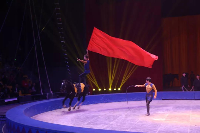 动物世界上新了表演场 | 肩上芭蕾、空中飞人~