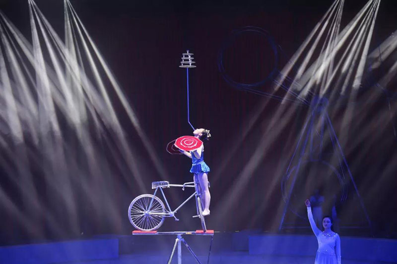 动物世界上新了表演场 | 肩上芭蕾、空中飞人~