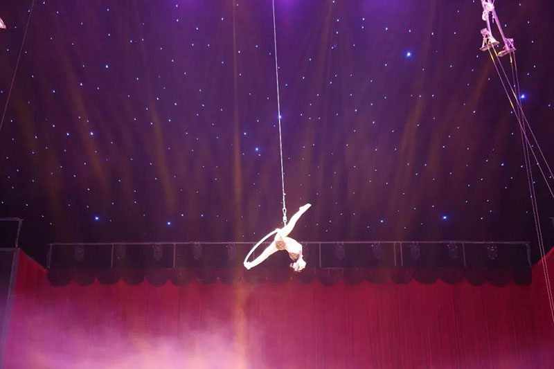 动物世界上新了表演场 | 肩上芭蕾、空中飞人~