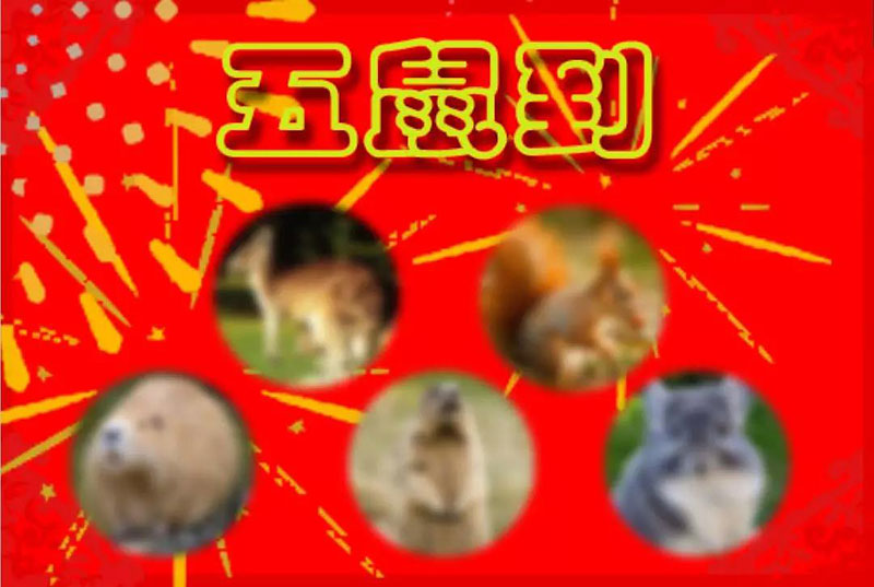 金鼠贺岁系列活动之一：动物世界“五鼠”闹新春，集“鼠”赢门票！！