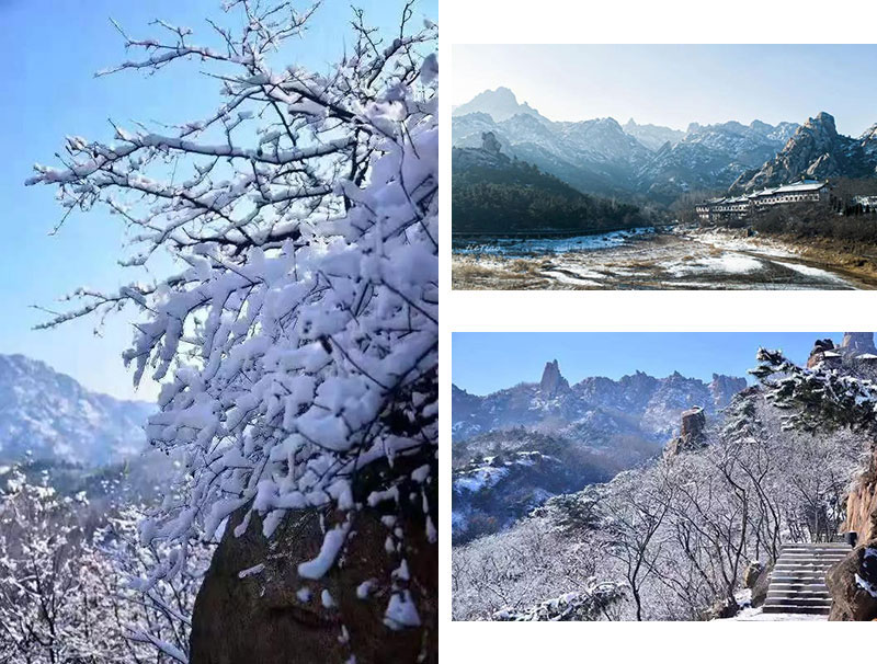 【雪后开园】快来拍大珠山的雪景，美得让人心醉！