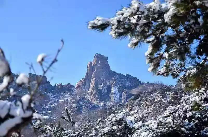【雪后开园】快来拍大珠山的雪景，美得让人心醉！