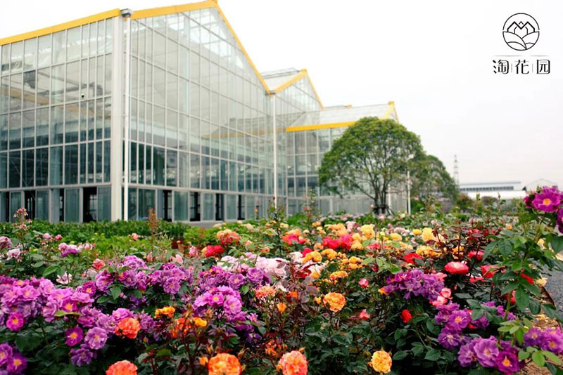 花花世界，“淘”你所爱！线上淘花节活动重磅来袭！