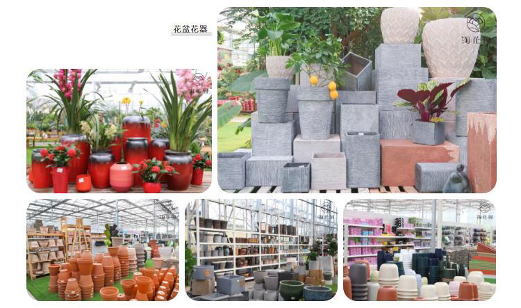 花花世界，“淘”你所爱！线上淘花节活动重磅来袭！