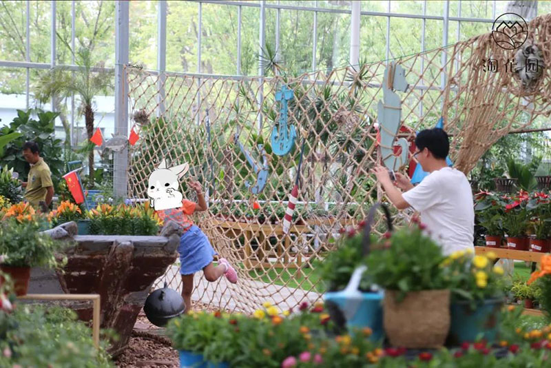 花花世界，“淘”你所爱！线上淘花节活动重磅来袭！