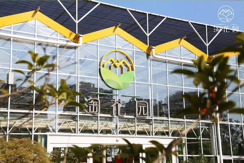 花花世界，“淘”你所爱！线上淘花节活动重磅来袭！