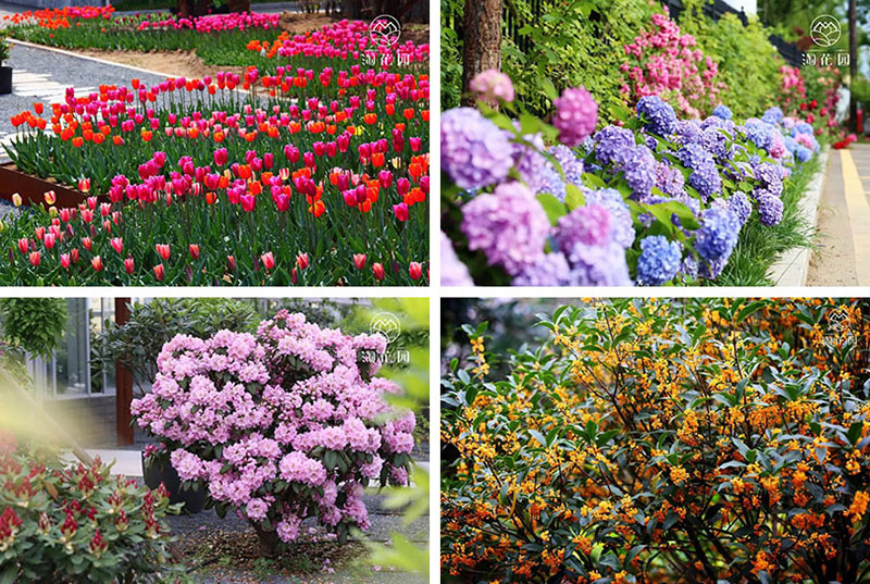 花花世界，“淘”你所爱！线上淘花节活动重磅来袭！