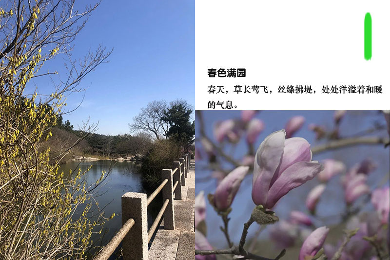 春游正当时，大珠山景区3月22日实时花况